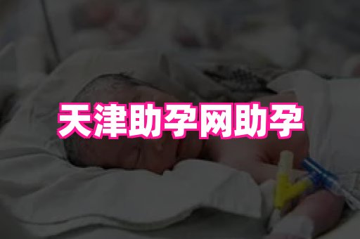 gfg孕网 1