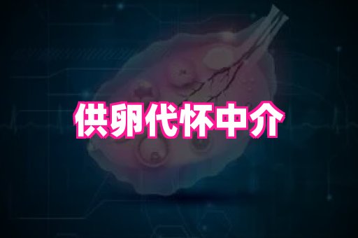 gfg孕网 2