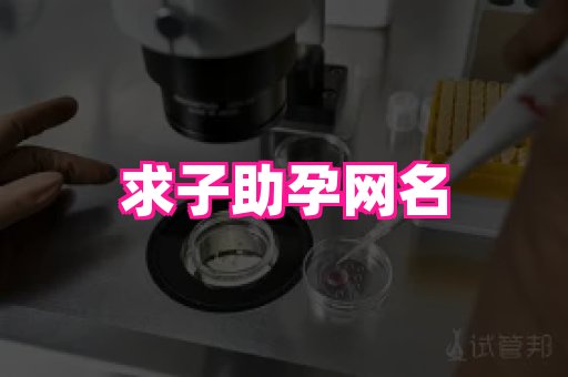 gfg孕网 4